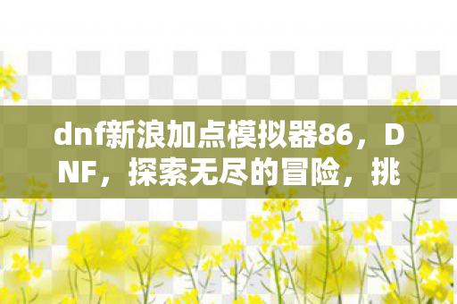 dnf新浪加点模拟器86图片