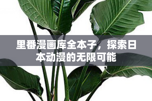 探索日本动漫的无限可能图片