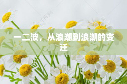 从浪潮到浪潮的变迁图片