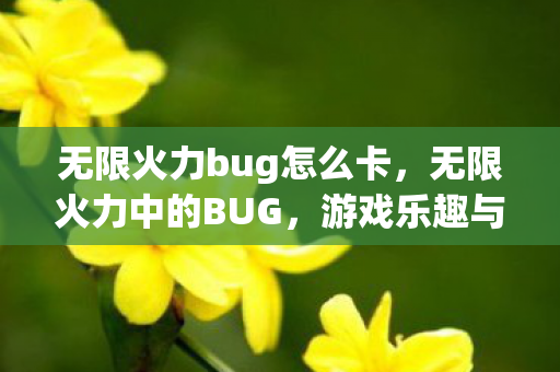 无限火力bug怎么卡图片