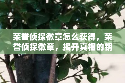 荣誉侦探徽章怎么获得图片