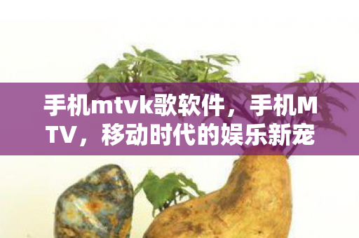 手机mtvk歌软件图片