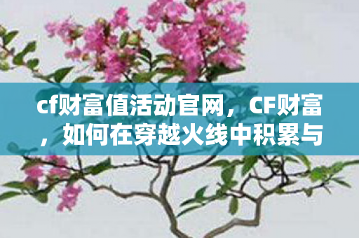 如何在穿越火线中积累与提升你的财富图片