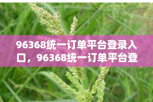 96368统一订单平台登录入口图片