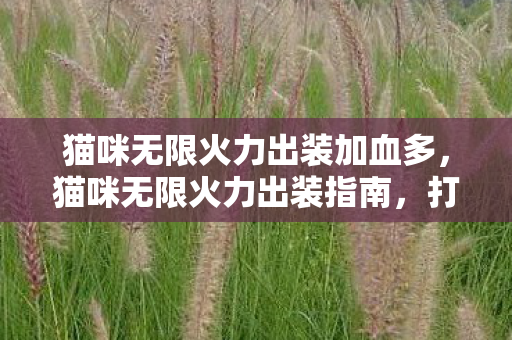 猫咪无限火力出装加血多图片