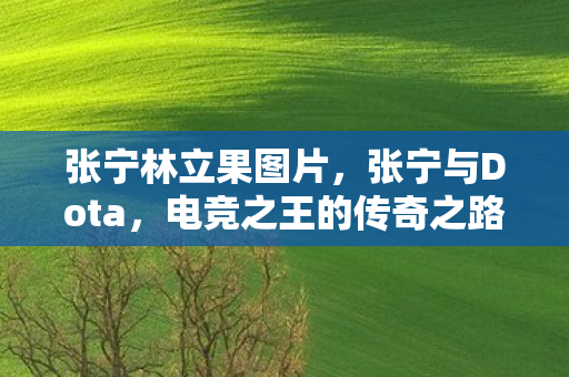 电竞之王的传奇之路图片