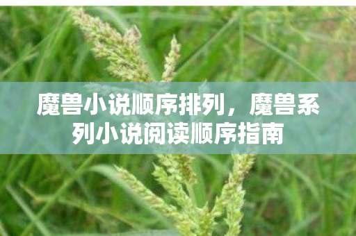 魔兽系列小说阅读顺序指南图片