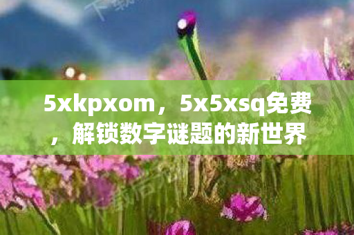 解锁数字谜题的新世界图片