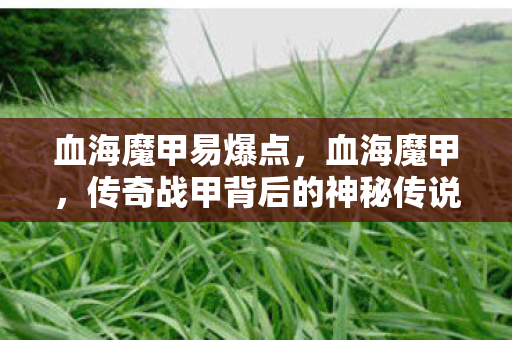 传奇战甲背后的神秘传说图片