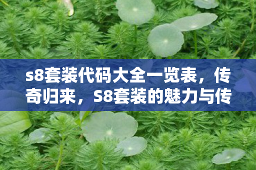 S8套装的魅力与传奇故事图片