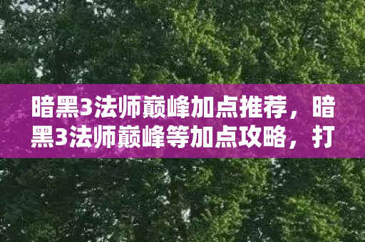 暗黑3法师巅峰等加点攻略图片