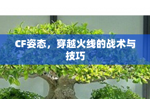 穿越火线的战术与技巧图片