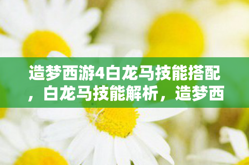 造梦西游4白龙马技能搭配图片