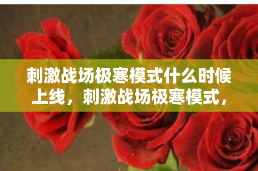 刺激战场极寒模式什么时候上线图片