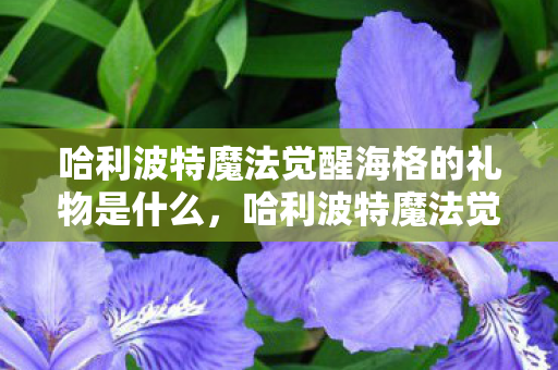 哈利波特魔法觉醒海格的礼物是什么图片