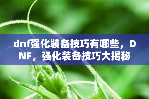 dnf强化装备技巧有哪些图片