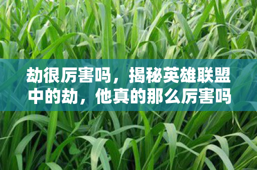 揭秘英雄联盟中的劫图片