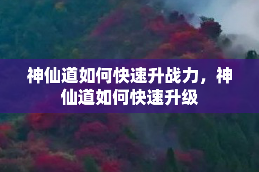 神仙道如何快速升战力图片