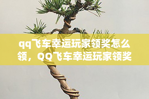 qq飞车幸运玩家领奖怎么领，QQ飞车幸运玩家领奖—一场速度与激情的盛宴