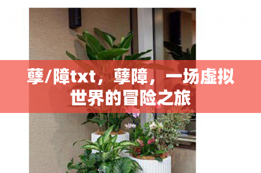 一场虚拟世界的冒险之旅图片