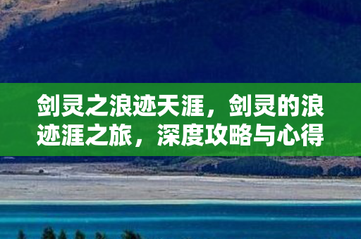 深度攻略与心得分享图片