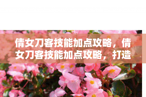 倩女刀客技能加点攻略图片