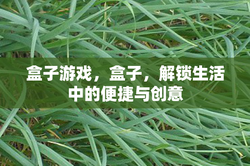 解锁生活中的便捷与创意图片