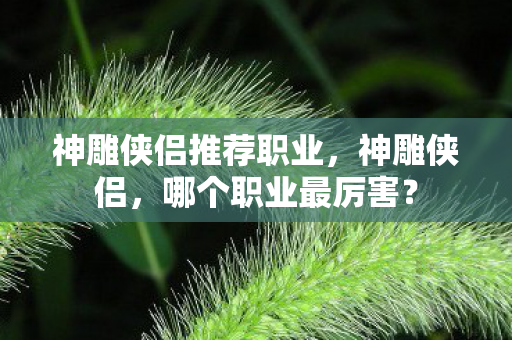 神雕侠侣推荐职业图片