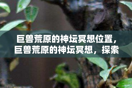 巨兽荒原的神坛冥想位置图片