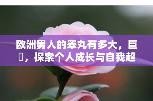 探索个人成长与自我超越的奥秘图片