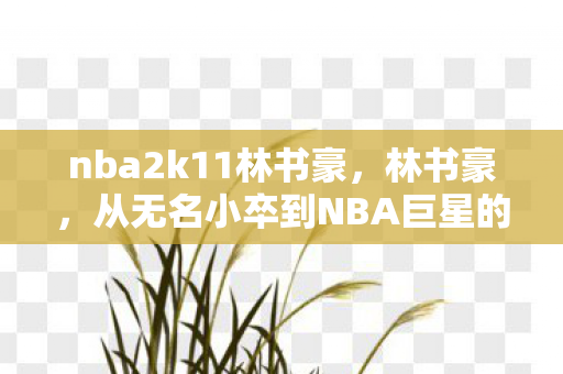 从无名小卒到NBA巨星的传奇之路图片