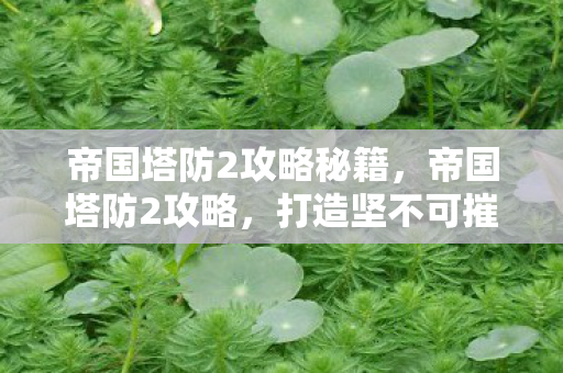 帝国塔防2攻略秘籍图片