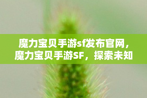 魔力宝贝手游sf发布官网图片