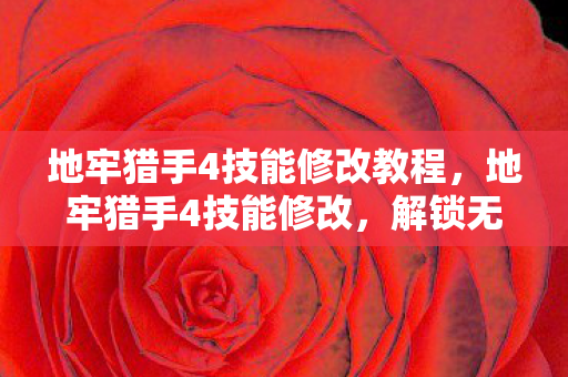 地牢猎手4技能修改教程图片