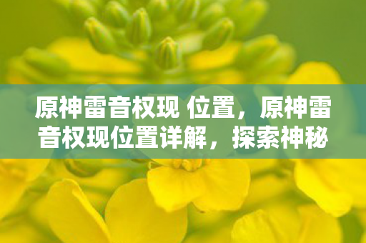 原神雷音权现位置详解图片