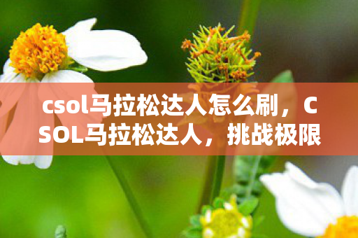 csol马拉松达人怎么刷图片