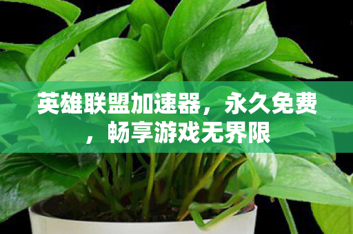 英雄联盟加速器图片