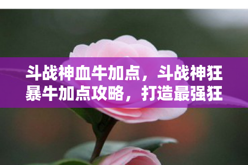 斗战神狂暴牛加点攻略图片