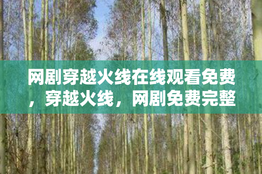 带你领略电竞世界的热血与激情图片