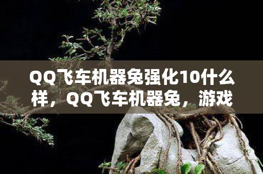 QQ飞车机器兔强化10什么样，QQ飞车机器兔，游戏新宠的无限魅力与挑战