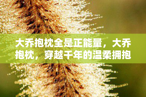 大乔抱枕全是正能量图片