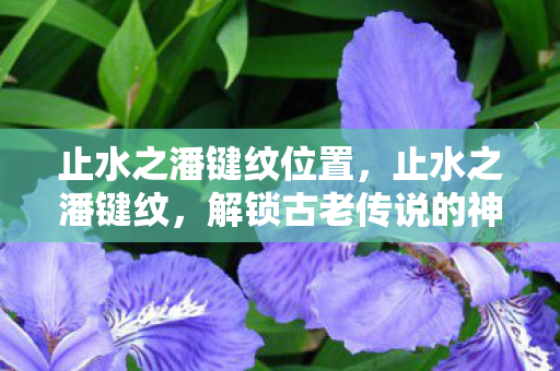 解锁古老传说的神秘密码图片