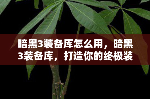 打造你的终极装备组合图片