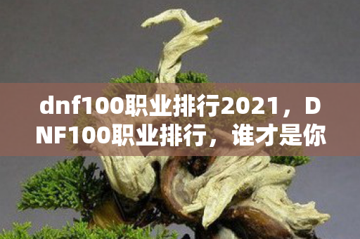 dnf100职业排行2021图片
