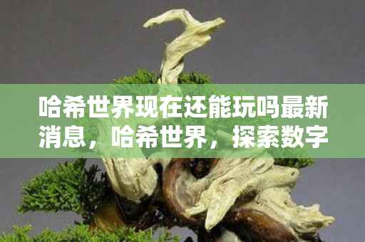 哈希世界现在还能玩吗最新消息图片