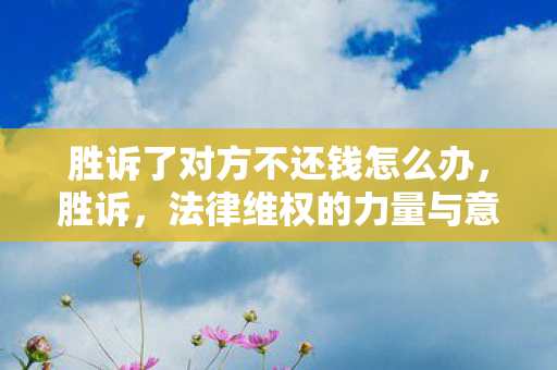 胜诉了对方不还钱怎么办图片