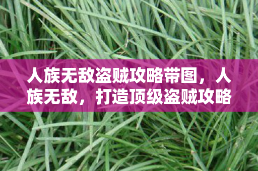 人族无敌盗贼攻略带图图片