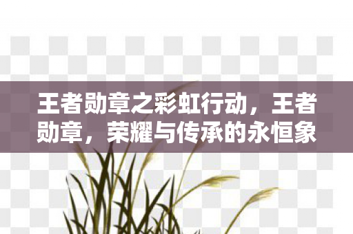 荣耀与传承的永恒象征图片