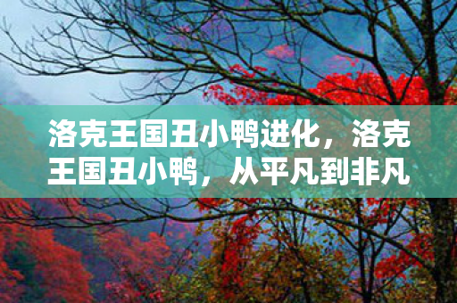 从平凡到非凡的蜕变之旅图片