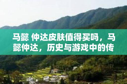 马懿 仲达皮肤值得买吗图片